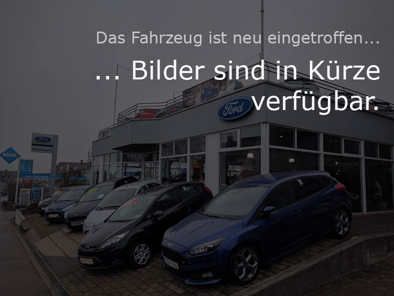 Ford Transit Custom Gebrauchtwagen Kaufen